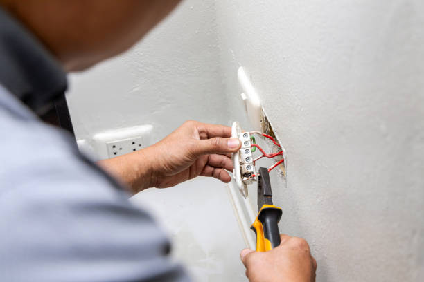 Best Electric Panel Repair  in Laware City, DE